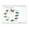 Learning Resources Giant Magnetic Butterfly Life Cycle, Set of 9 Figurines LER6043 - alternate 2